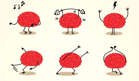 Elva steg till en smartare hjärna