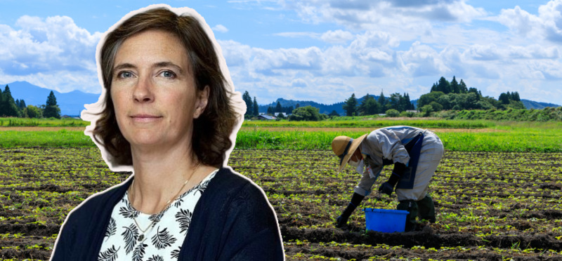 Axfood om leverantörskedjorna: Kunden är inte allt