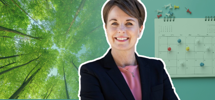 Kvalitetsrollens nya gröna kostym – konflikt eller samverkan?