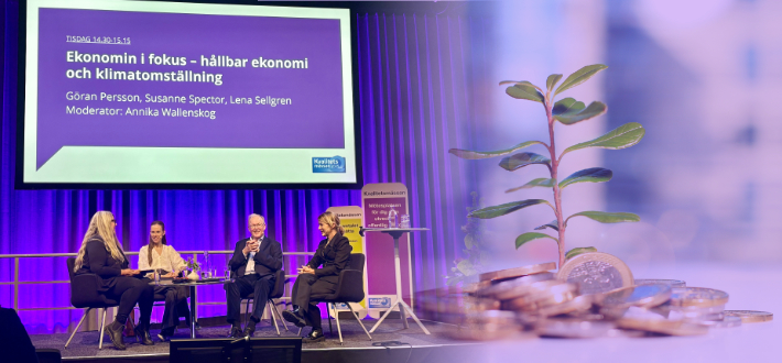 Göran Persson om kommunala hållbarhetprojekten – ”Riskerna är för stora”