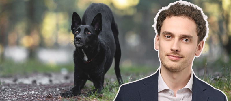 Sverige tar fram standard för hundar som söker läckor – ”säkrar kvalitativ tjänst”